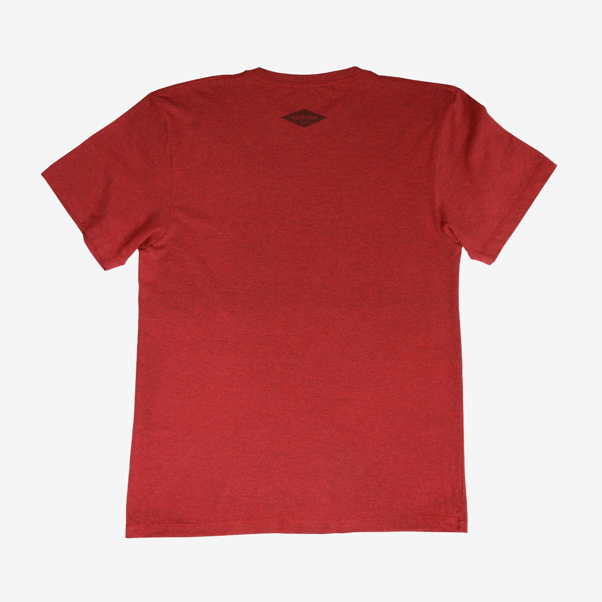 backyard-t-shirt-h9 Shirt_Mtn_Back.jpg